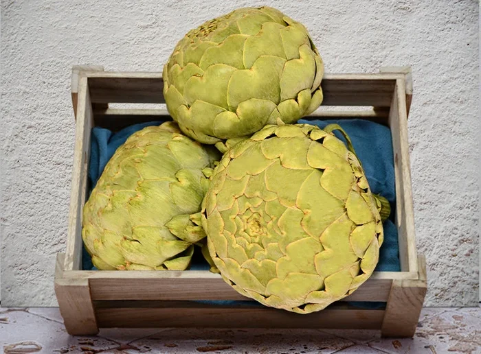 APOLLO ARTICHOKE 1KG (#122668)
