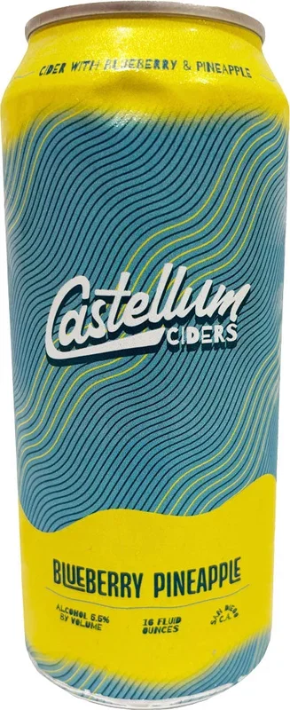 Castellum Blueberry Pineapple Cider 16oz Can