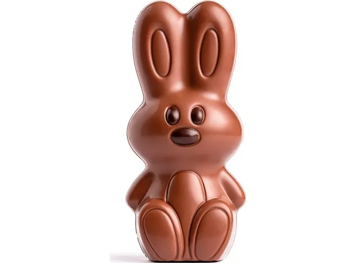 MILK CHOCOLATE CHARLIE MOULD 100G (#122941)