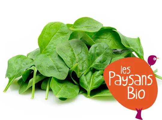 ORGANIC BABY LETTUCE 0.125KG+/- (#123642)