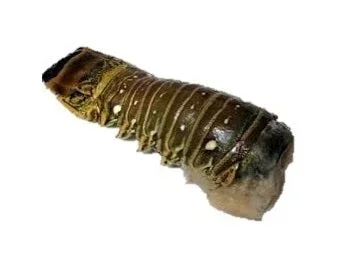 ROCK LOBSTER TAIL 250G (#122303)