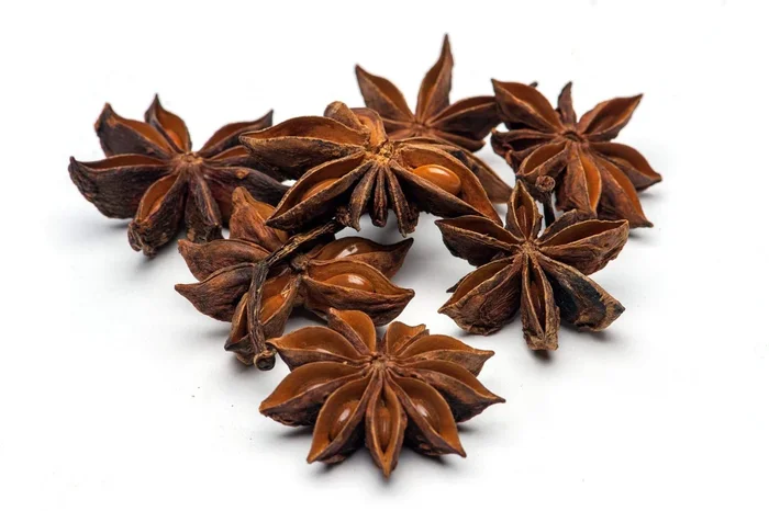 Slofoodgroup Whole Star Anise – For Cooking, Pickling And Spice Mixes – 4 Ounces