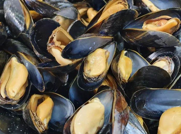 ST BRIEUX BOUCHOT MUSSELS 1.4KG (#122723)