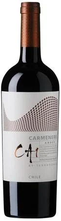 Terranoble Carmenere Ca1 Andes 2013