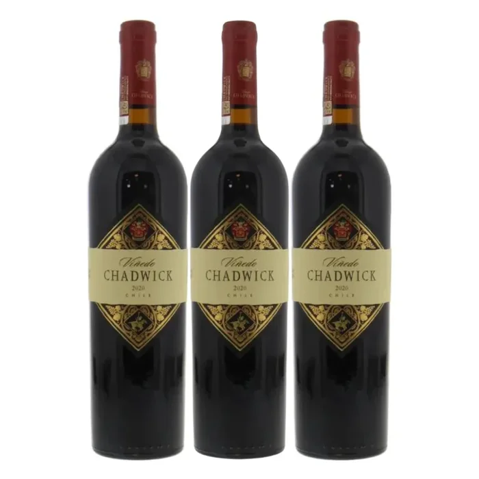 Vinedo Chadwick Cabernet Sauvignon Puente Alto 2020 750ml 3 Bottle Case