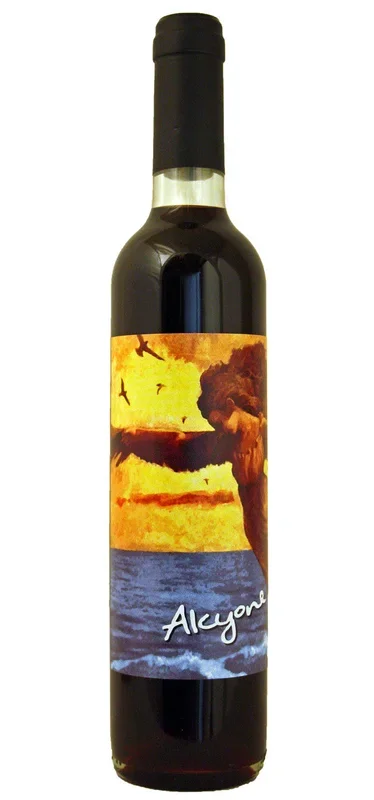 Vinedo de los Vientos | Pablo Fallabrino Alcyone Tannat (Half Litre) – NV