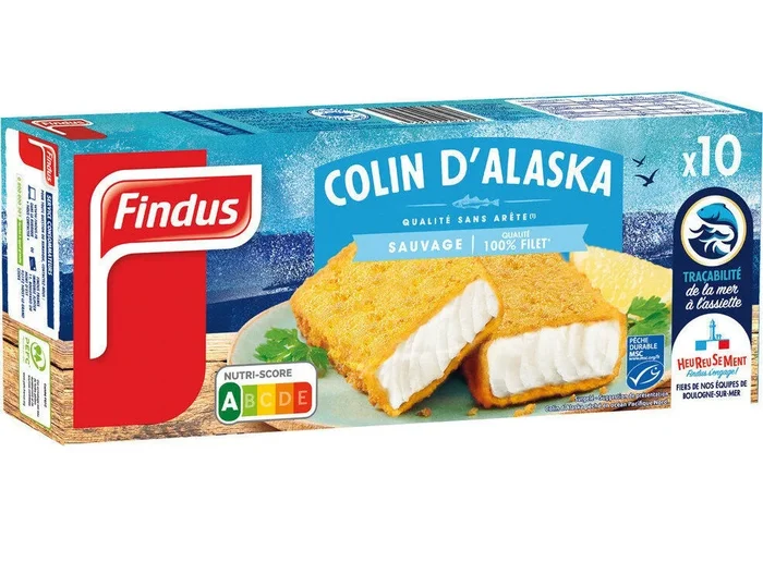 WILD ALASKAN POLLOCK FILLET 510G (#120045)